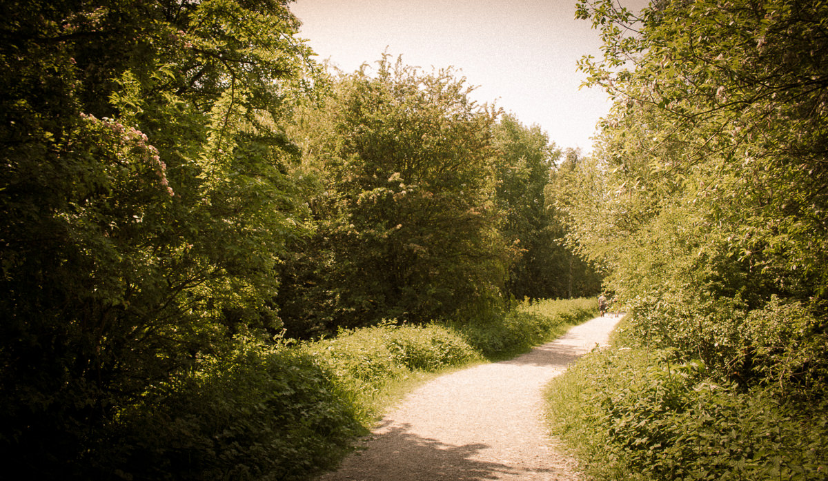 June Fairburn Ings - RSPB-1