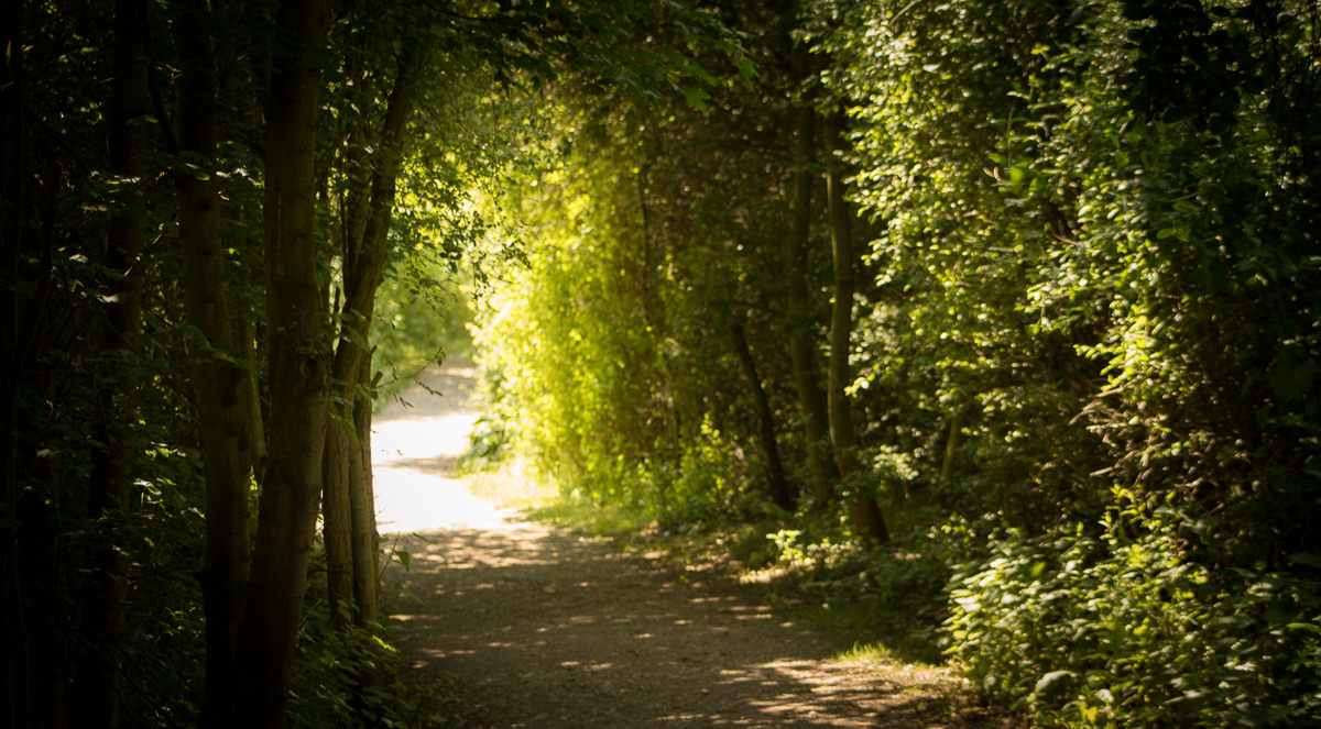 June Fairburn Ings - RSPB-33